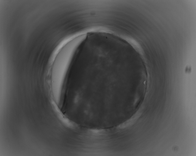 X0000094940816200712131558