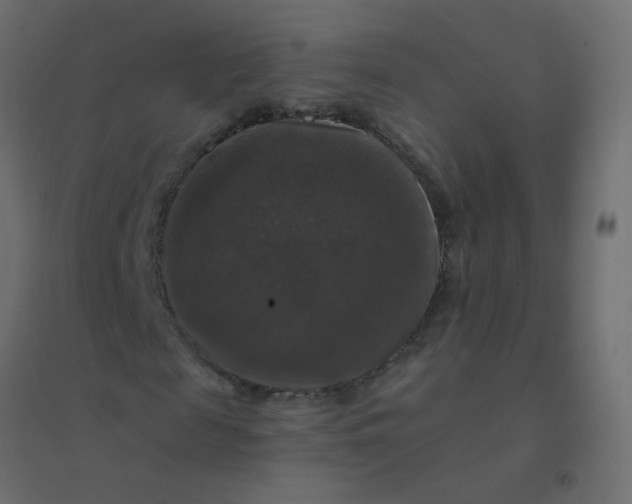 X0000094940817200712131557