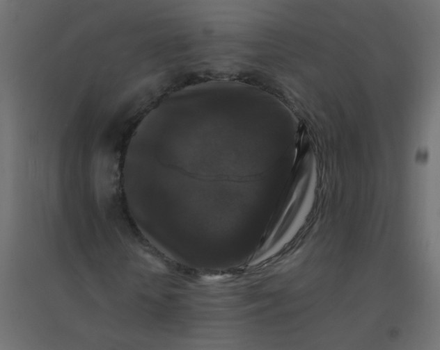 X0000094940818200712131557