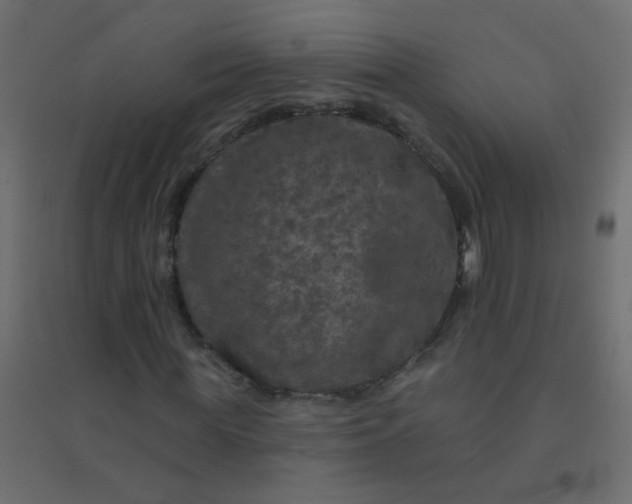 X0000094940819200712131557