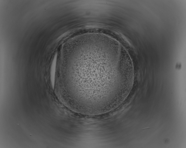 X0000094940821200712131557