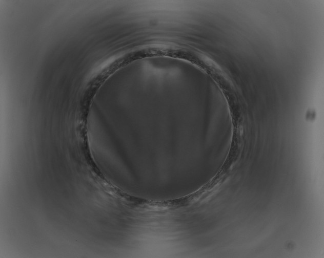 X0000094940822200712131557