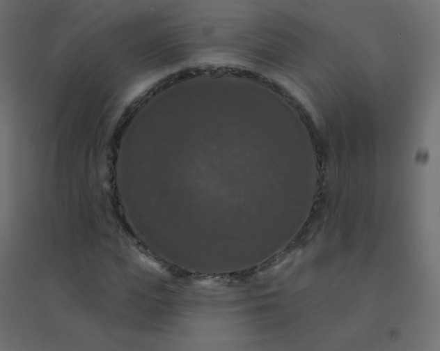 X0000094940823200712131558