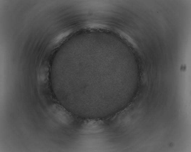 X0000094940824200712131558