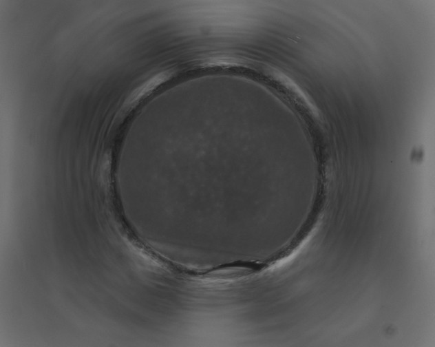 X0000094940825200712131558