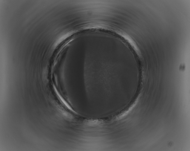 X0000094940826200712131558