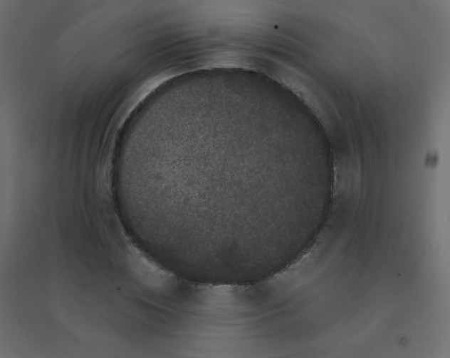 X0000094940828200712131558