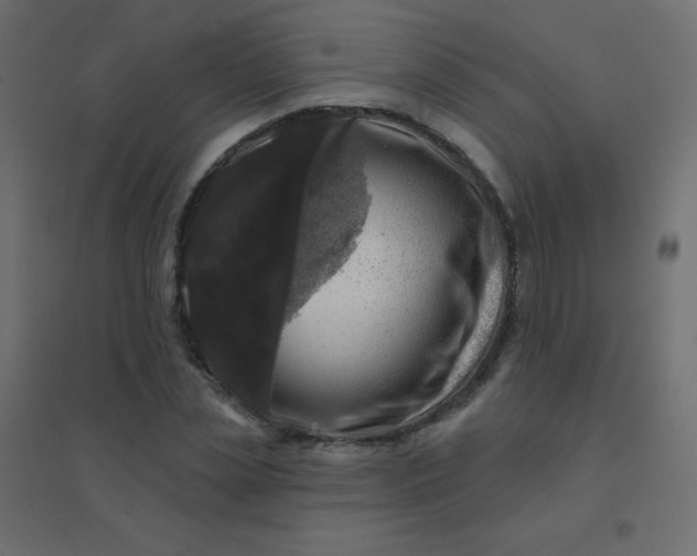 X0000094940829200712131558