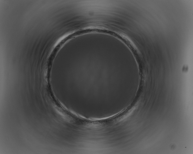 X0000094940830200712131558