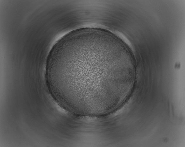 X0000094940831200712131558