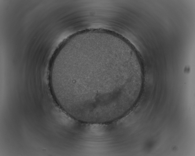 X0000094940832200712131558