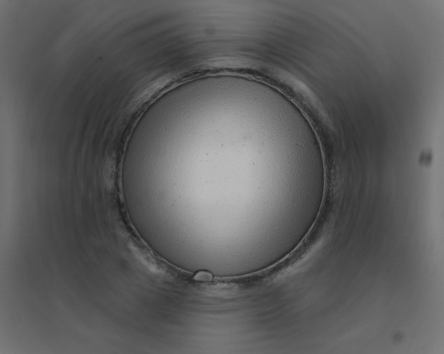 X0000094940833200712131558