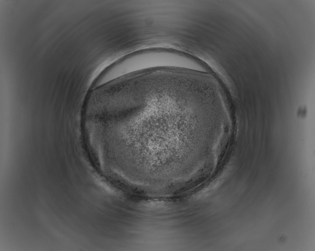 X0000094940834200712131558