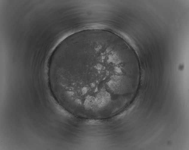 X0000094940835200712131558