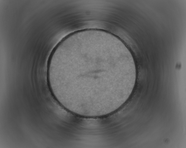 X0000094940836200712131558