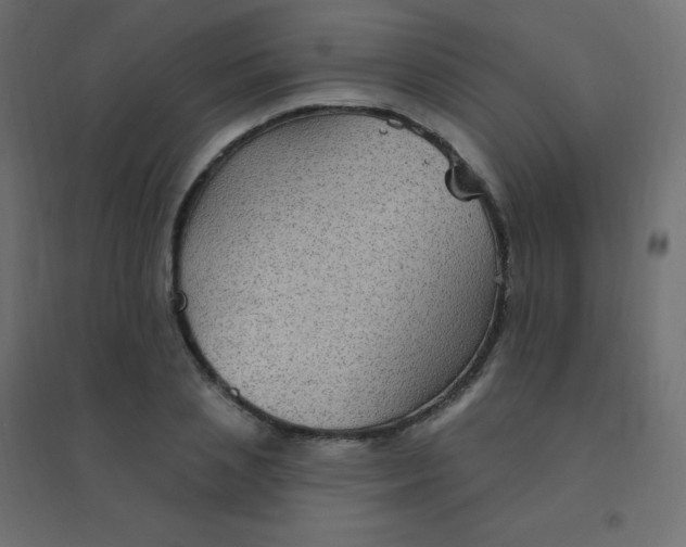 X0000094940837200712131558