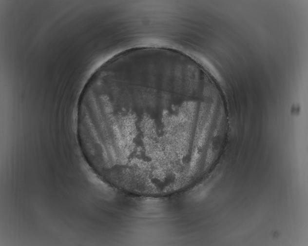 X0000094940839200712131558