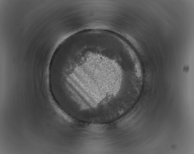 X0000094940840200712131558