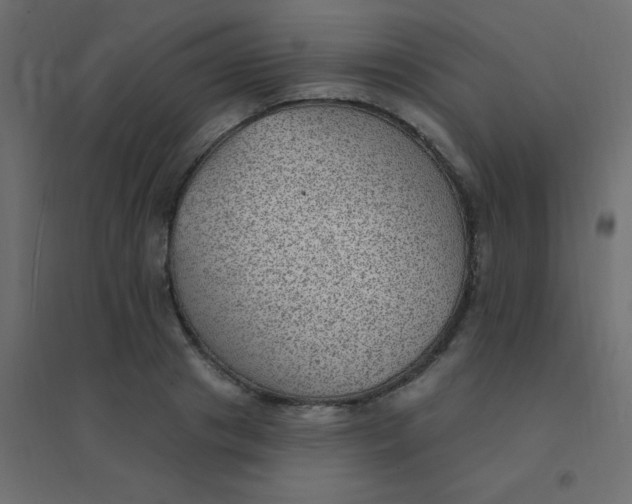 X0000094940841200712131558