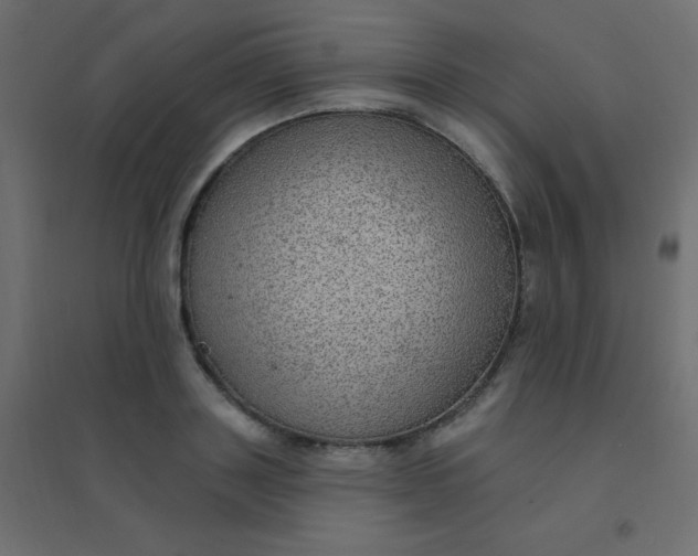 X0000094940843200712131558