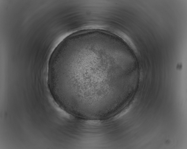 X0000094940844200712131558