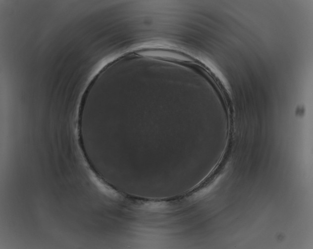 X0000094940845200712131558