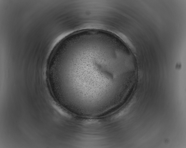 X0000094940846200712131558