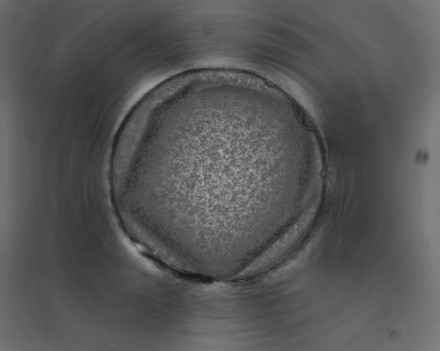 X0000094940847200712131558