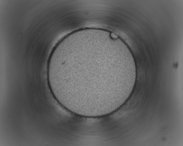 X0000094940848200712131558