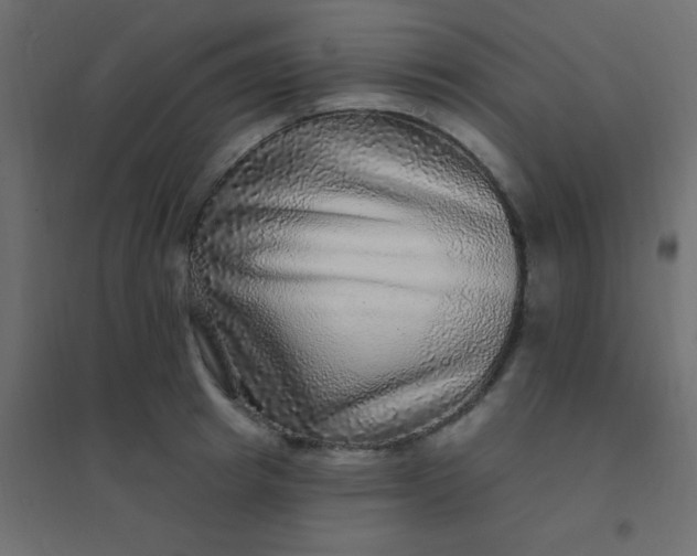 X0000094940849200712131558