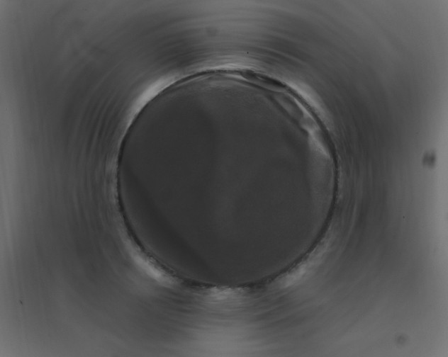 X0000094940850200712131558