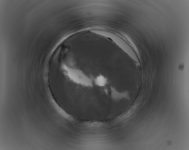 X0000094940851200712131558