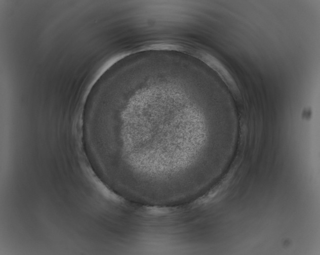 X0000094940852200712131558