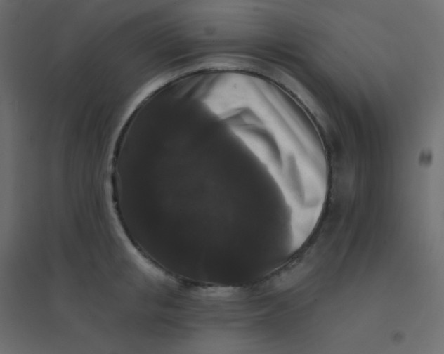 X0000094940853200712131558