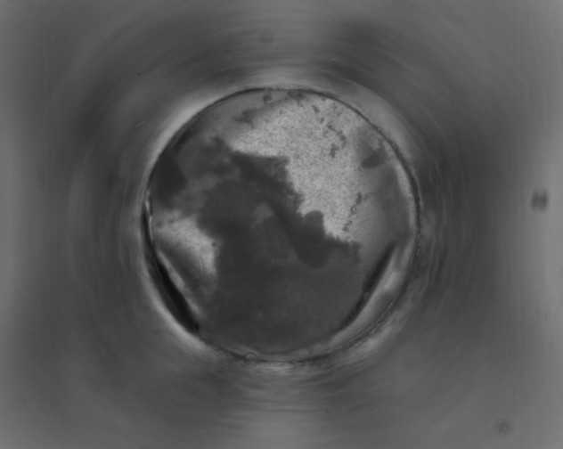 X0000094940855200712131558