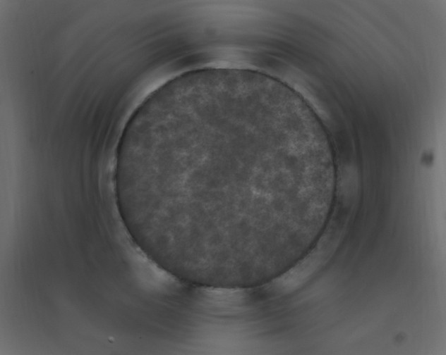 X0000094940856200712131558