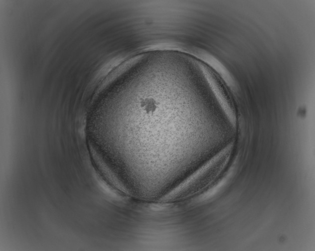 X0000094940857200712131558