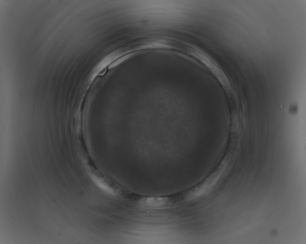 X0000094940858200712131558