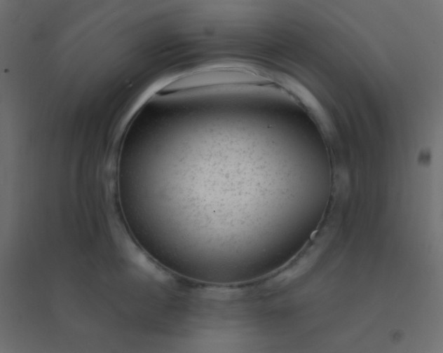 X0000094940860200712131558