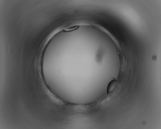 X0000094940861200712131558