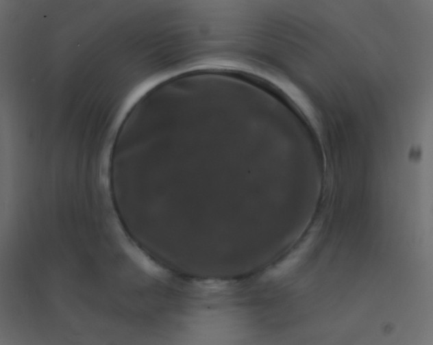 X0000094940862200712131558