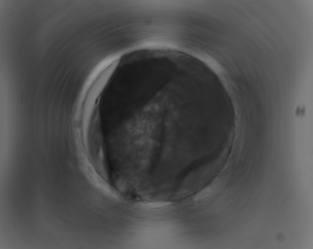 X0000094940864200712131558