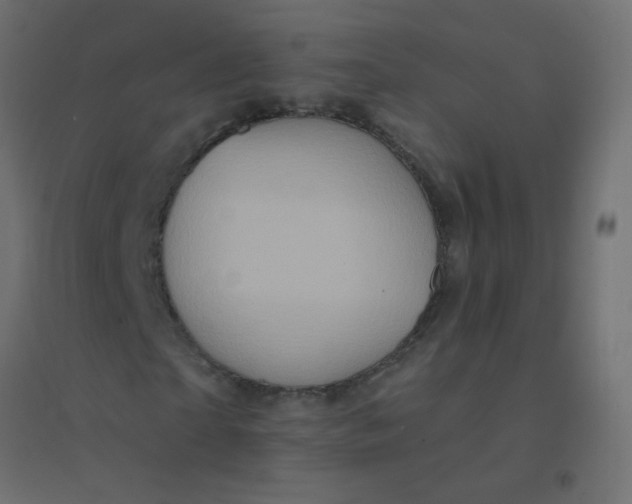 X0000094940865200712131557