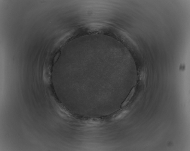 X0000094940868200712131557