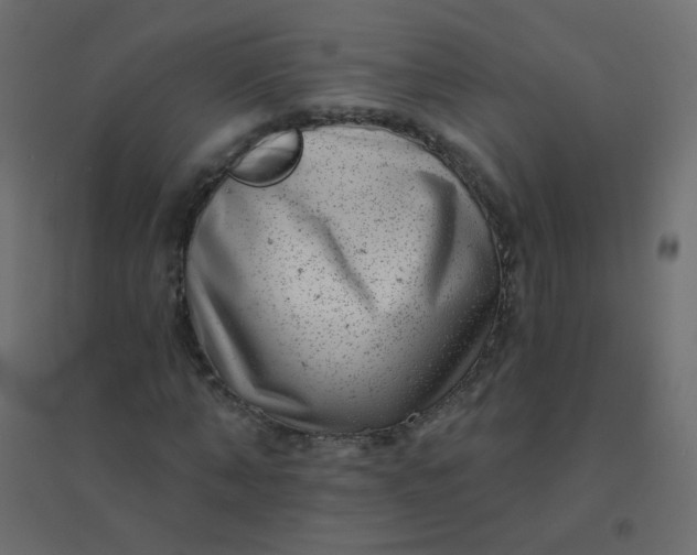 X0000094940870200712131557