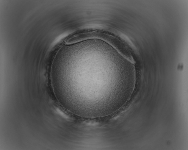 X0000094940872200712131557