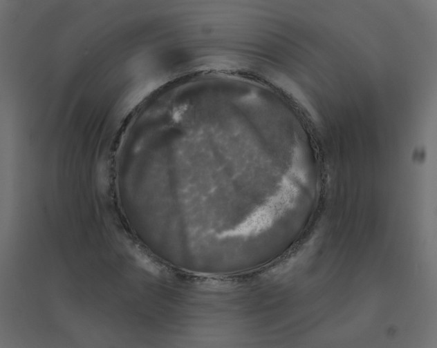 X0000094940874200712131557