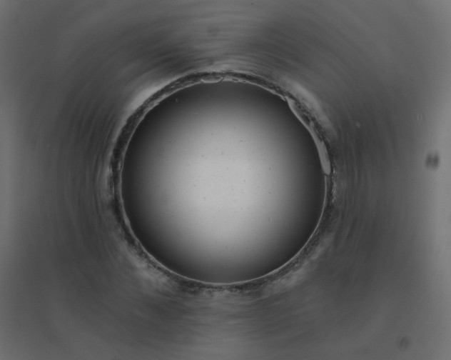 X0000094940876200712131557