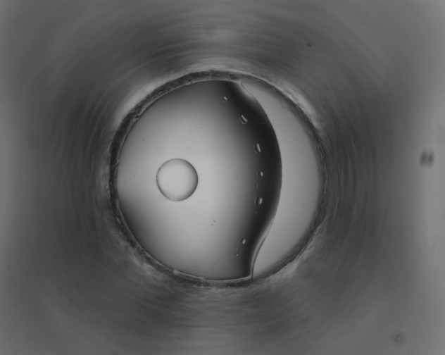 X0000094940877200712131557