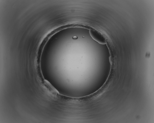 X0000094940880200712131557